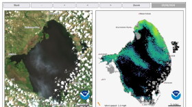 Satellite image provided by NOAA taken on Monday May 6th. The image taken on Tuesday May 7 also confirms alge on the Lake but cloud cover prevented an accurate estimate of the total are of the bloom.
