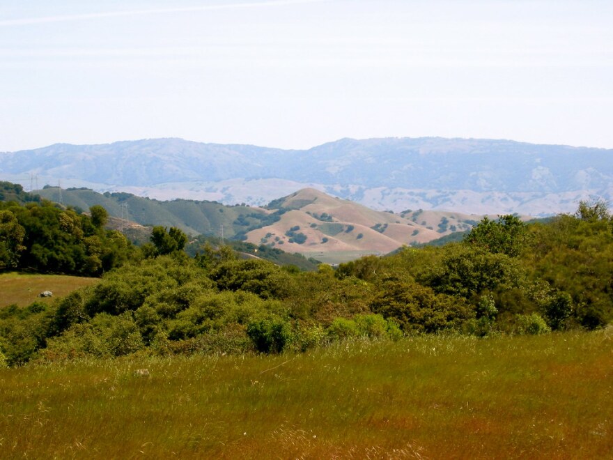Hillside in Gilroy, California.