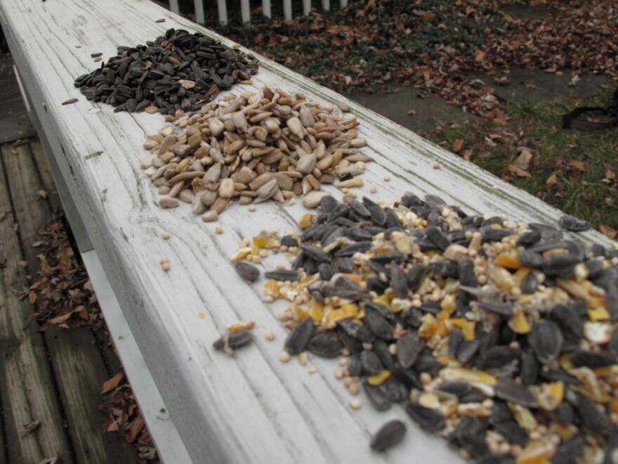 The key is to put out a mix of bird feed -- including black oil sunflower seed -- that will attract a variety of birds.