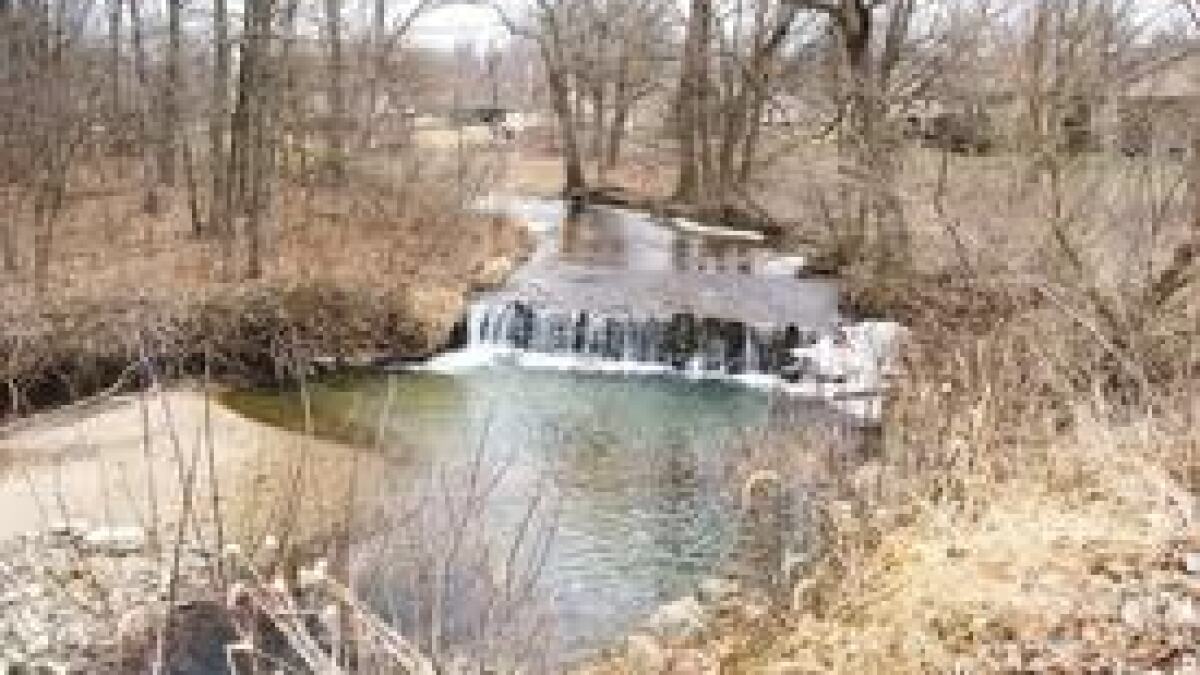 Chad depue wife (91) 사진