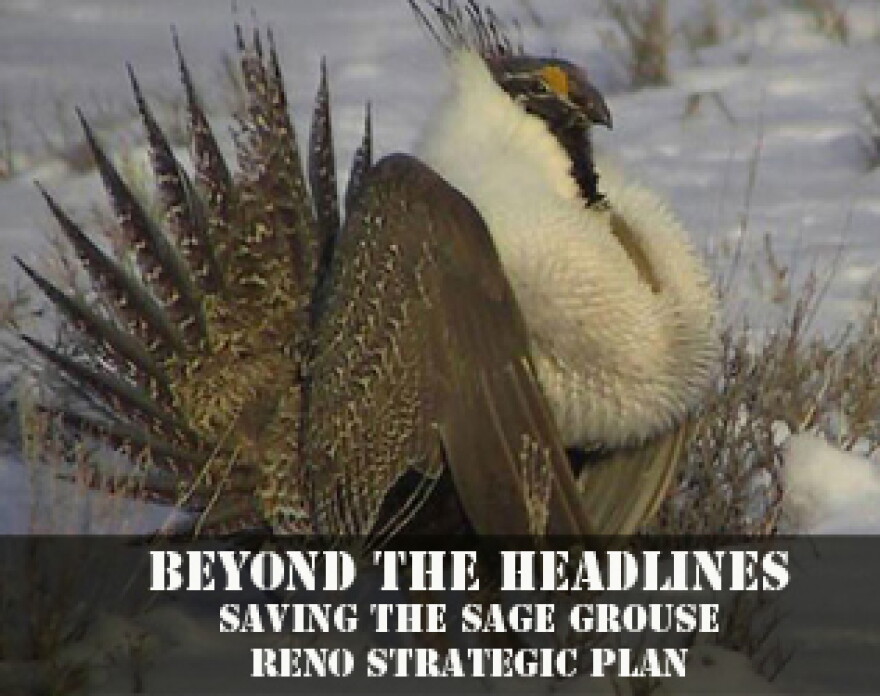 A discussion of saving the Sage Grouse and Reno's Strategic Plan
