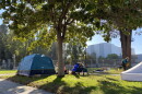 Bay Area counties will release the full results of their 2026 Point-in-Time homeless counts this fall.
