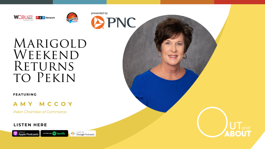 The image features a photo of this episode’s guest: Amy McCoy, executive director of the Pekin Area Chamber of Commerce. The image features an all-capitalized text headline that reads “MARIGOLD WEEKEND RETURNS TO PEKIN” with an underlying smaller text that reads “featuring Amy McCoy, Pekin Chamber of Commerce.” The graphic artwork also features an icon of the podcast’s sponsor PNC Bank in the center with the WCBU and NPR logos in the left-hand corner. In the bottom right-hand corner are icons of the various podcast platforms where the Out and About podcast can be streamed/downloaded. In the bottom left-hand corner is Out and About spelled out in large, white graphic letters. 