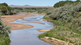 Sand bars develop along the Rio Grande as stretches of the river begin to dry in Albuquerque, N.M., on May 14, 2026. (AP Photo/Susan Montoya Bryan)