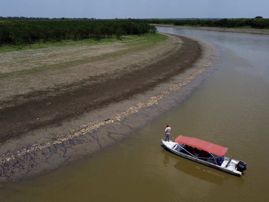 A fisherman stands on his boat as he navigates near thousands of dead fish awash on the banks of Piranha Lake due to a severe drought in the state of Amazonas, in Manacapuru, Brazil, Wednesday, Sept. 27, 2023.