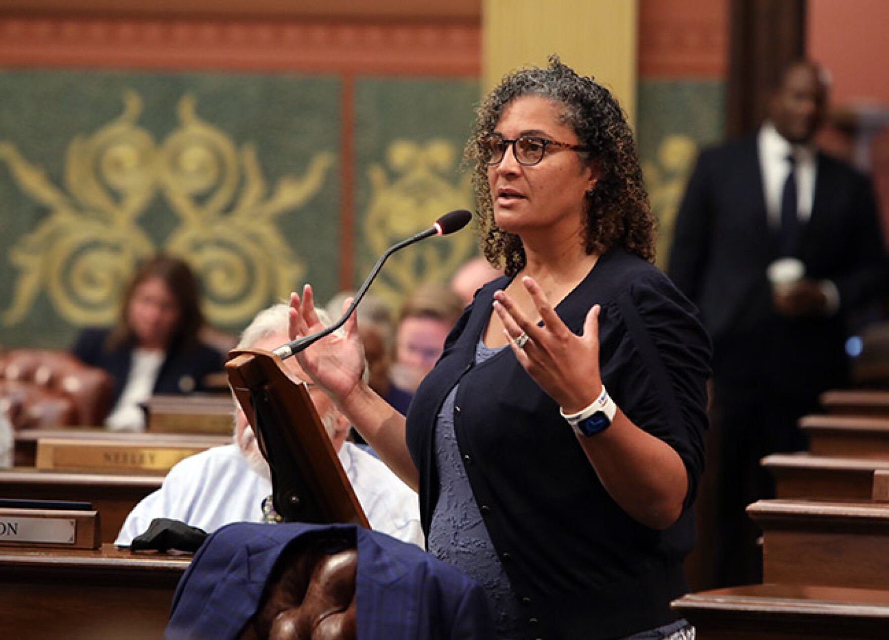 Felicia Brabec kicks off 2026 bid for Michigan Senate | WEMU-FM