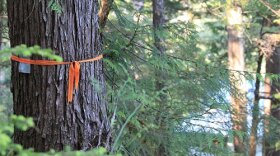 (Photo courtesy of Maranda Hamme)