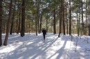 A skier skis on groomed trails at Pratts Brook Park in Yarmouth.