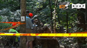 A competitor takes aim during the NRA YHEC shoot-don't-shoot challenge