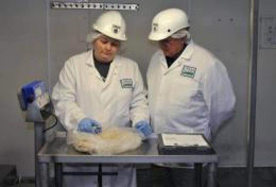 Poultry inspection rules in focus on Capitol Hill Iowa Public Radio