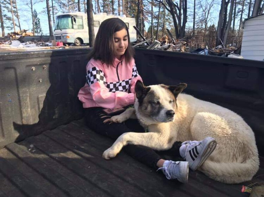 Maleah Ballejos reunited with her dog, Kingston, who was missing for 101 days in the aftermath of the Camp Fire in Paradise, Calif.