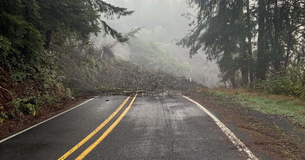 Oregon governor asks for federal emergency declaration for counties impacted by December storms