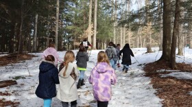 Kids walking through the forest. 