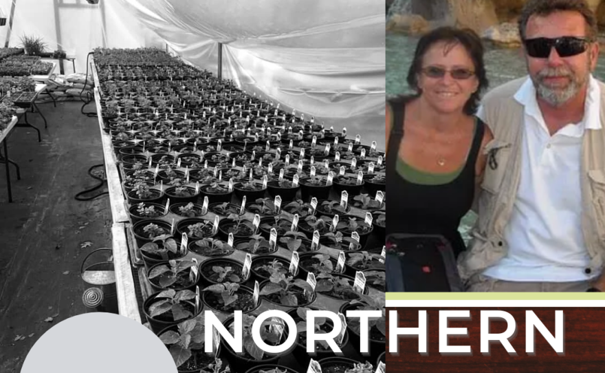Copy_of_Northern_Voices_medium.png