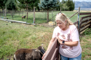 Sheri Schiess feeds her lambs with hay grown on the farm she and her husband, Boyd, decided to preserve.