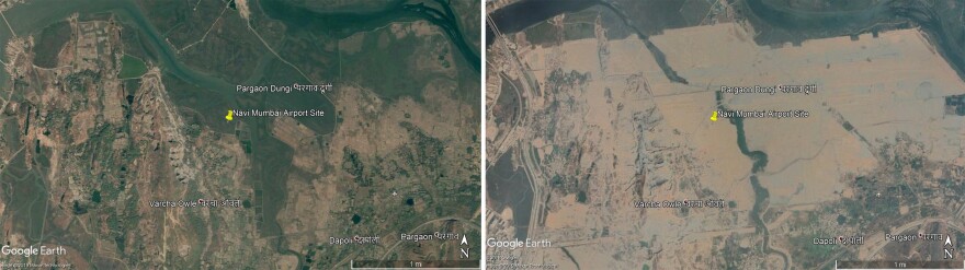 Mangroves (green) were plentiful in this Google Earth image from Nov. 12, 2003 showing the site of the future Navi Mumbai International Airport (left). By Nov. 12, 2019 (right), the development work for the airport had wiped out hundreds of acres of mangroves.