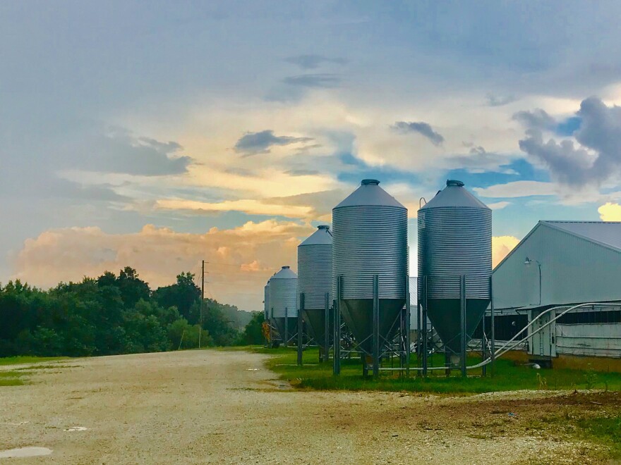 Jimmy Tosh hog barns in Tennessee.