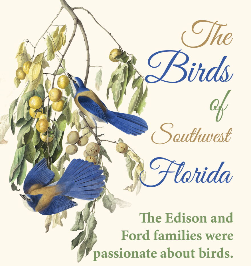 Edison Ford Winter Estates Graphic for 'Birds of Southwest Florida' exhibit