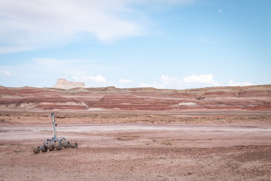 BYU's rover contemplates its next move during the autonomous navigation challenge, June 1, 2023.