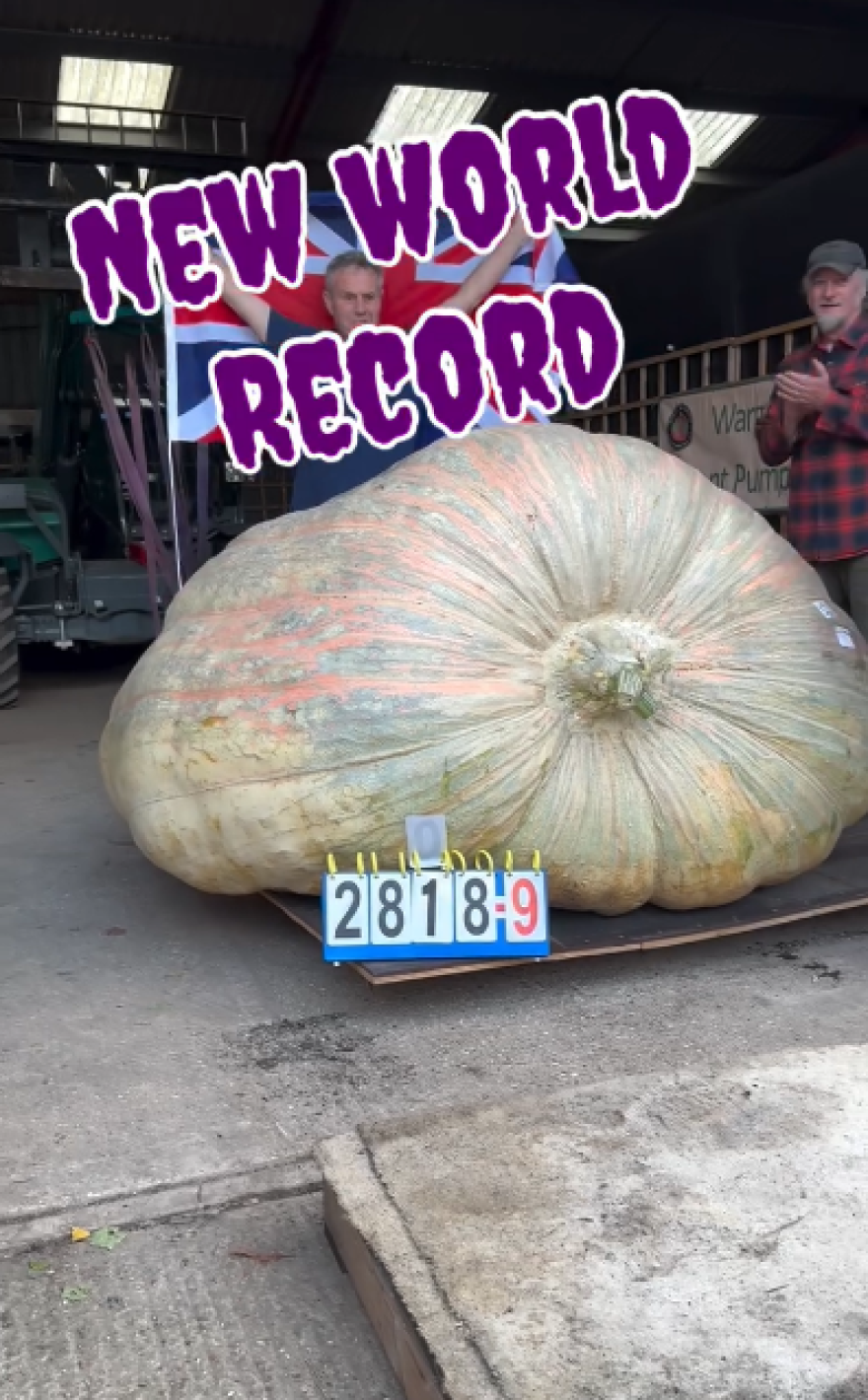 Ian and Stuart Paton, twin brothers from England, broke the world record for heaviest and longest pumpkin earlier in October. "It was an amazing feeling, it's hard to describe really," Stuart told the BBC. His brother Ian added, "I kind of had an inkling when the forklift started beeping and flashing red."
