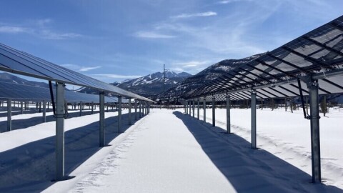 Rows of raised solar panels are seen over a snow-covered field