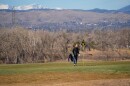 A man stands on a golf course ahead of distant mountains.