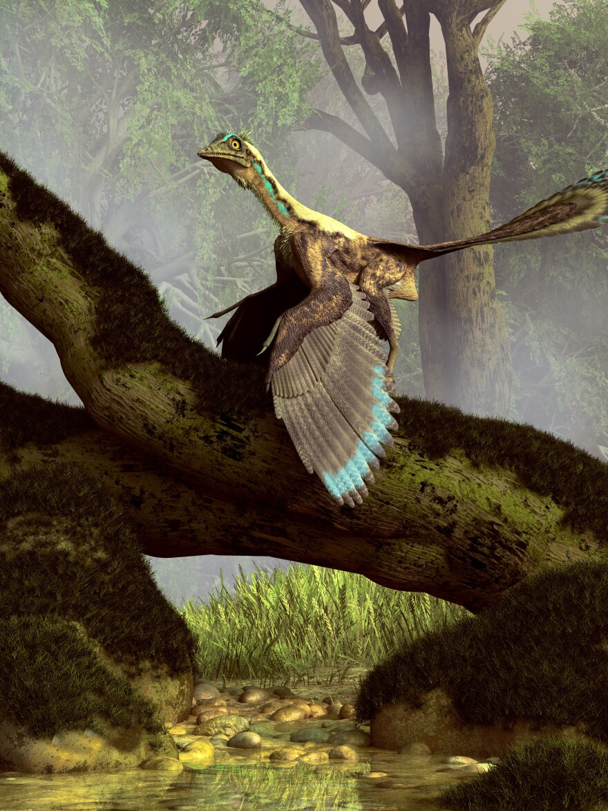 Archaeopteryx is a creature that seems to be half bird, half dinosaur