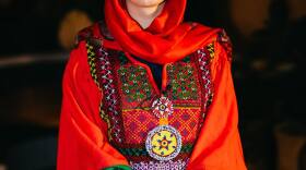 Lamar Zala Gran, speaking at recent ZIVA Voices conference in Lexington