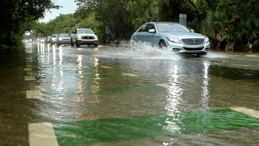 Traffic backs up on Crandon Boulevard Monday, Nov. 21, 2023 as record rains continued to fall. Miami-Dade Water and Sewer officials said the heavy rain caused 200,000 gallons of sewage to overflow at a plant on nearby Virginia Key, which led to no-swimming warnings in Key Biscayne.