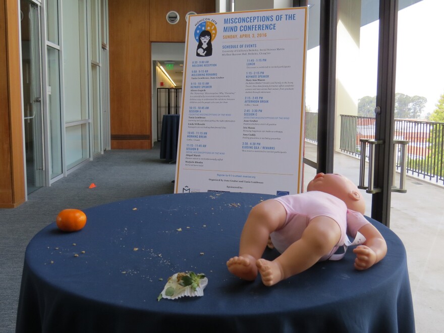 The Misconceptions of the Mind Conference incorporated accommodations and play for children that paralleled the academic exchange among scholars and scientists.