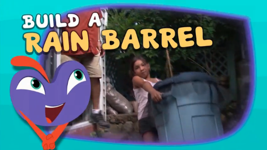 Build a rain barrel