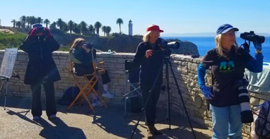 People with binoculars and scopes look over the ocean.