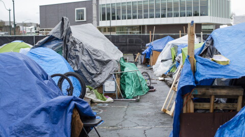 Tents are set up inside Olympia's mitigation site, the homeless encampment sanctioned by the city.  
