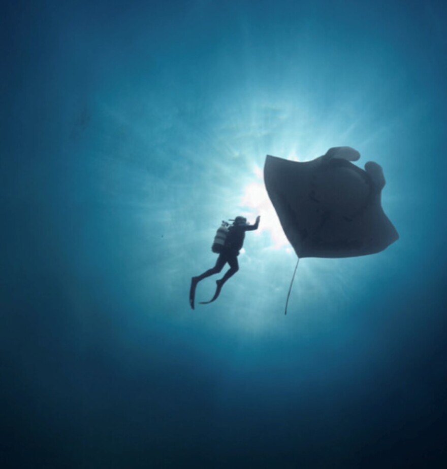 Ladyface Mountain Film Festival focuses on stories about nature