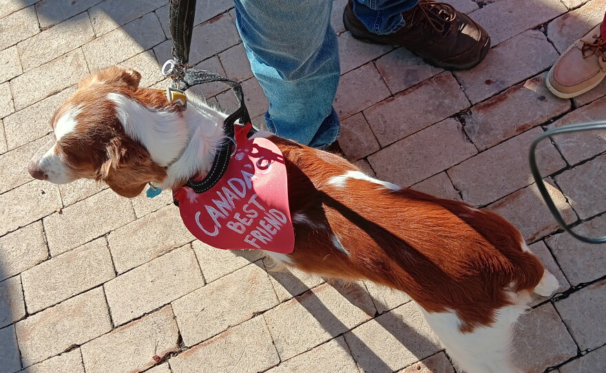 Even four-legged attendees could be seen at No Kings rallies around Western New York. Seen here is Frankie, who was with owners Alex and Tom in Buffalo's Niagara Square, Saturday, Oct. 18, 2026.