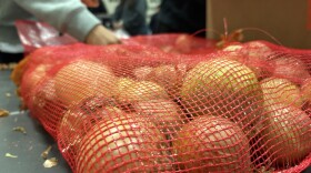 A mesh bag of yellow onions, getting sorted by volunteers in the background.