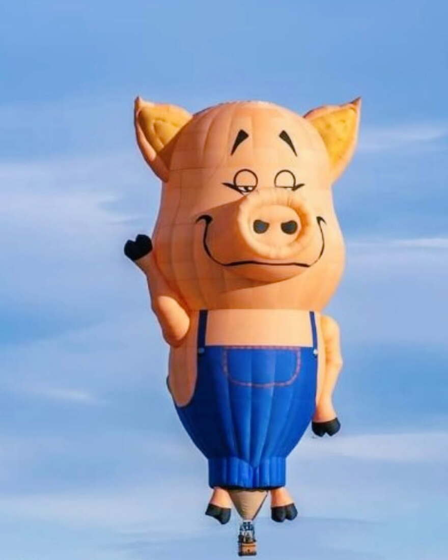 Chris P. Bacon is just one of the many hot-air balloons with unique shapes that you can see this weekend at the Plano Balloon Festival.