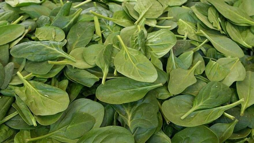 Dole Fresh Vegetables says it's recalling some of its bagged spinach distributed in 13 states, including Indiana, as a precaution after a random sample tested positive for salmonella.