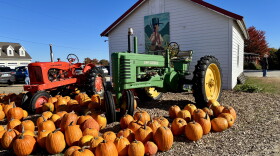 An autumnal scene with pumpkins and a tractor at Carter Hill Orchard