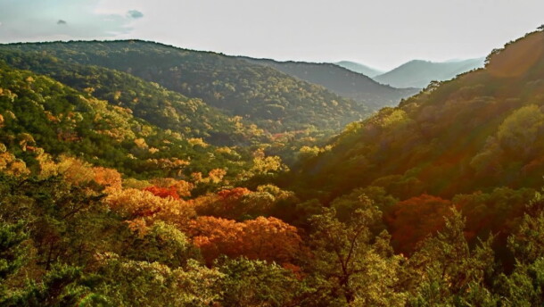 Fall at the Albert and Bessie Kronkosky State Natural Area