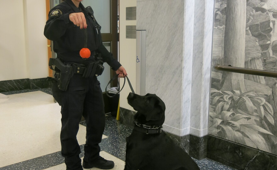 Officer Shawn Thomas said, 'I just want it to stop.'