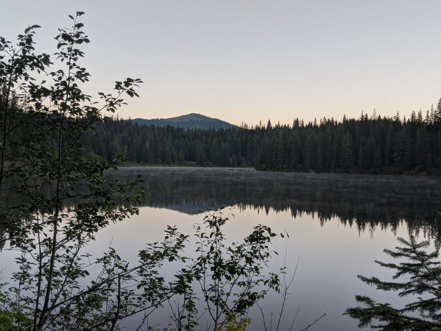 The Elk Creek Reservoir is located near Elk River, Idaho, where many senior residents live far from healthcare providers. Dementia patients who live in rural areas will have to travel, on average, roughly 101 miles to their nearest hospital neurologist. (Credit: Rachel Sun / NWPB)