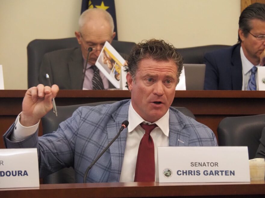 Sen. Chris Garten, R-Charlestown, speaks during a 2024 State Budget Committee meeting.
