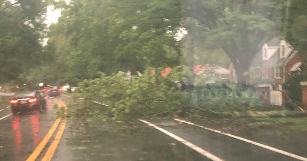 Nat'l Weather Service confirms tornado likely hit Dover Thursday