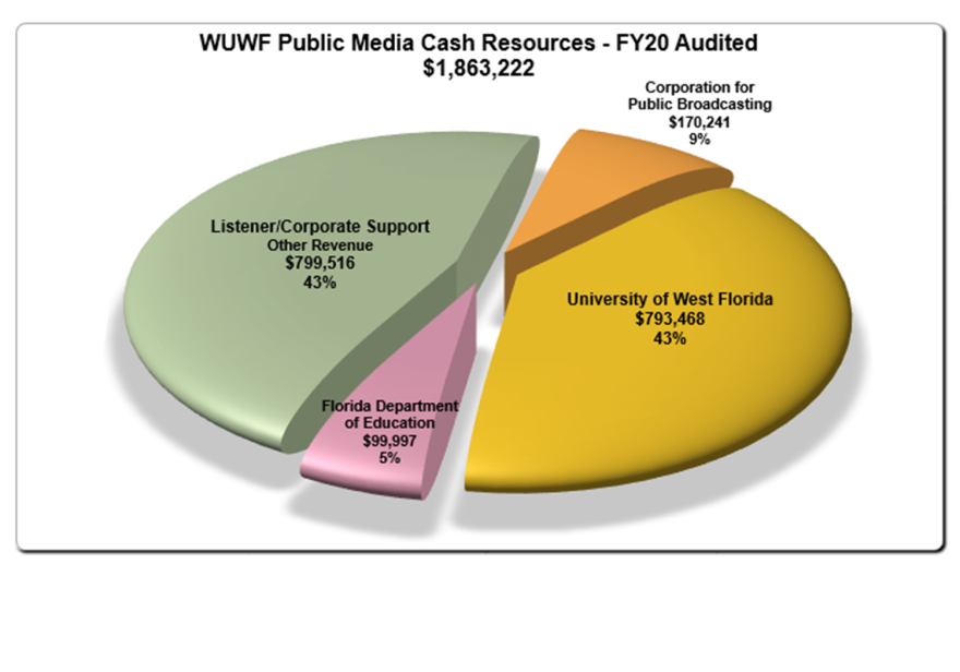 FY20 pie chart audited.png