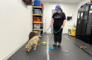 Volunteer Sam Smith brings a dog into the Animal Charity of Ohio's enrichment area. The humane organization has had to cease services, due to the rising intake and costs.