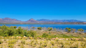 Roosevelt Lake