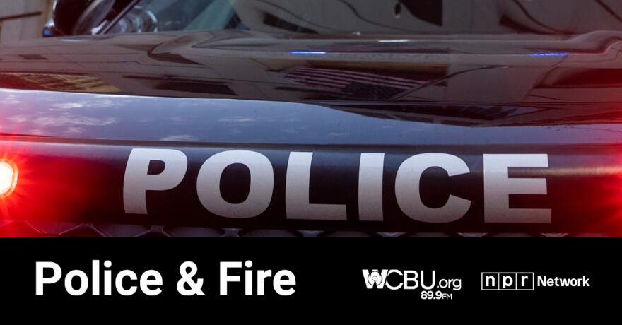 Imagery evoking police, fire and courts