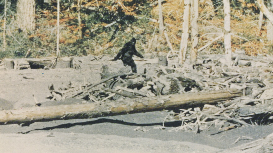 A grainy picture of a hairy creature walking through a forest.