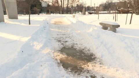 Ice and snow patches on walkway in arboretum